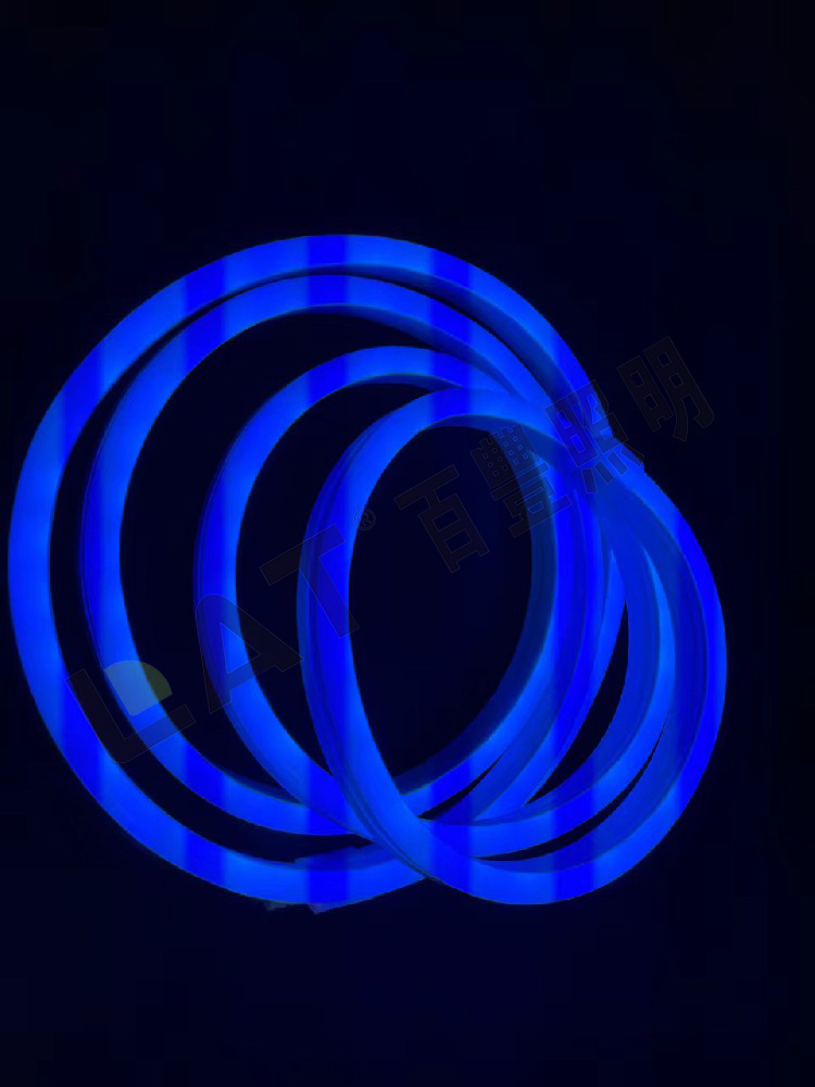 Smart Wifi LED Neon Light 13