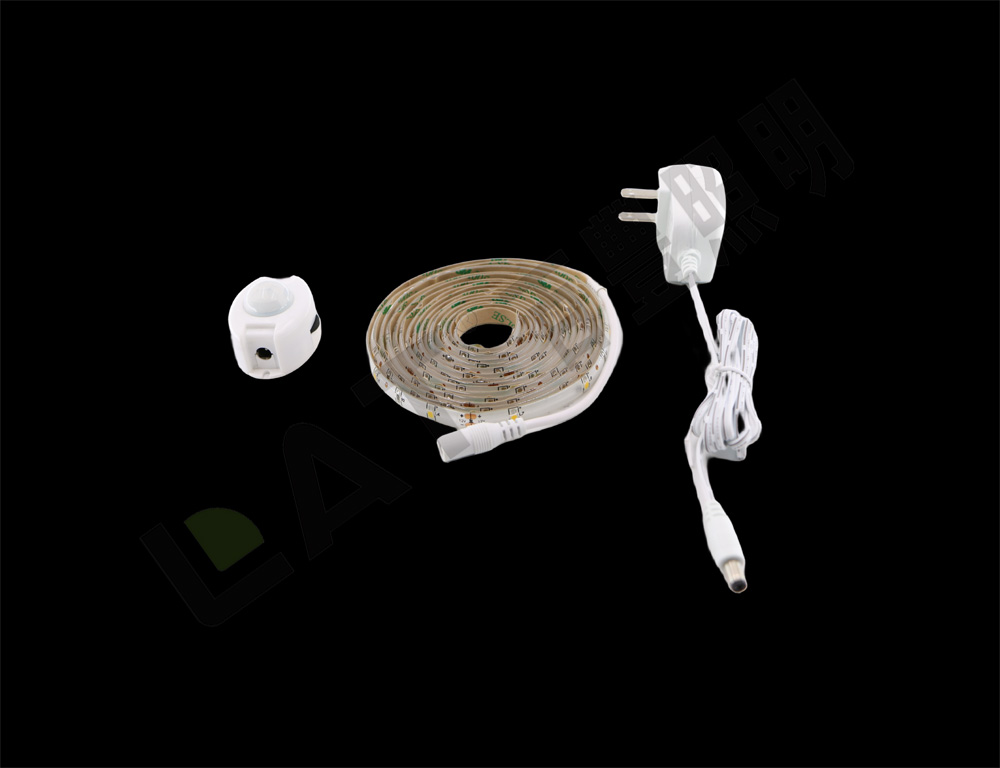 Induction cabinent lamp 